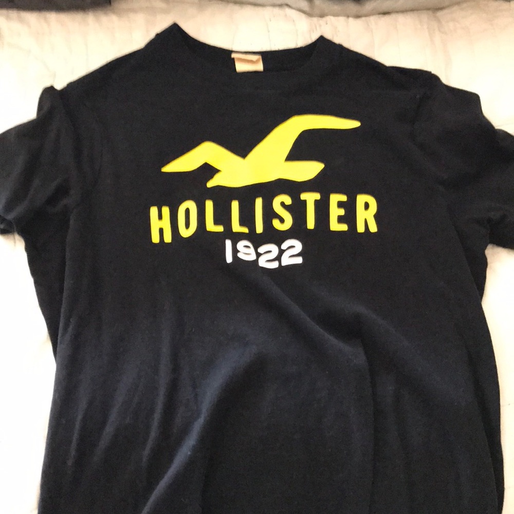 Hollister T shirt